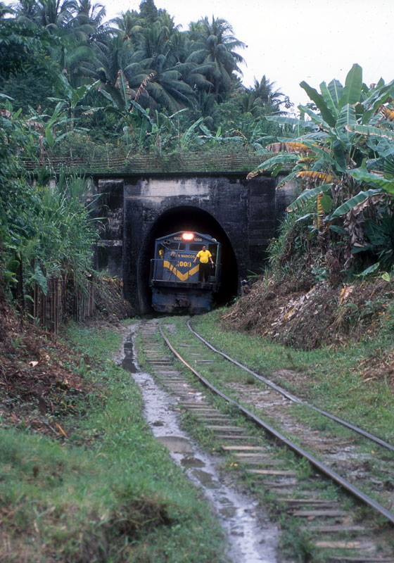 FVGalcomudtunnel800v.jpg