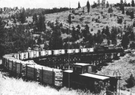 SVRy Eng 250 with lumber train near Alder Springs about 1941 SVRR Emlaw Col - Copy.jpg