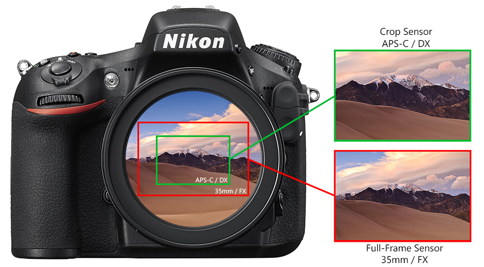 Nikon-FX-and-DX-Sensor.jpg