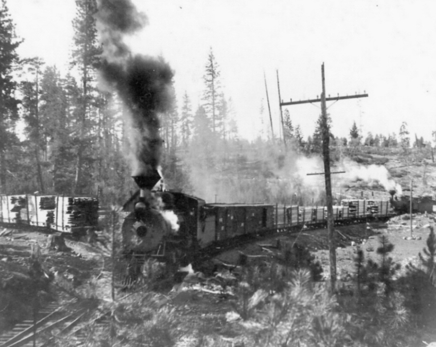 SVRy train at White Pine depot.jpg