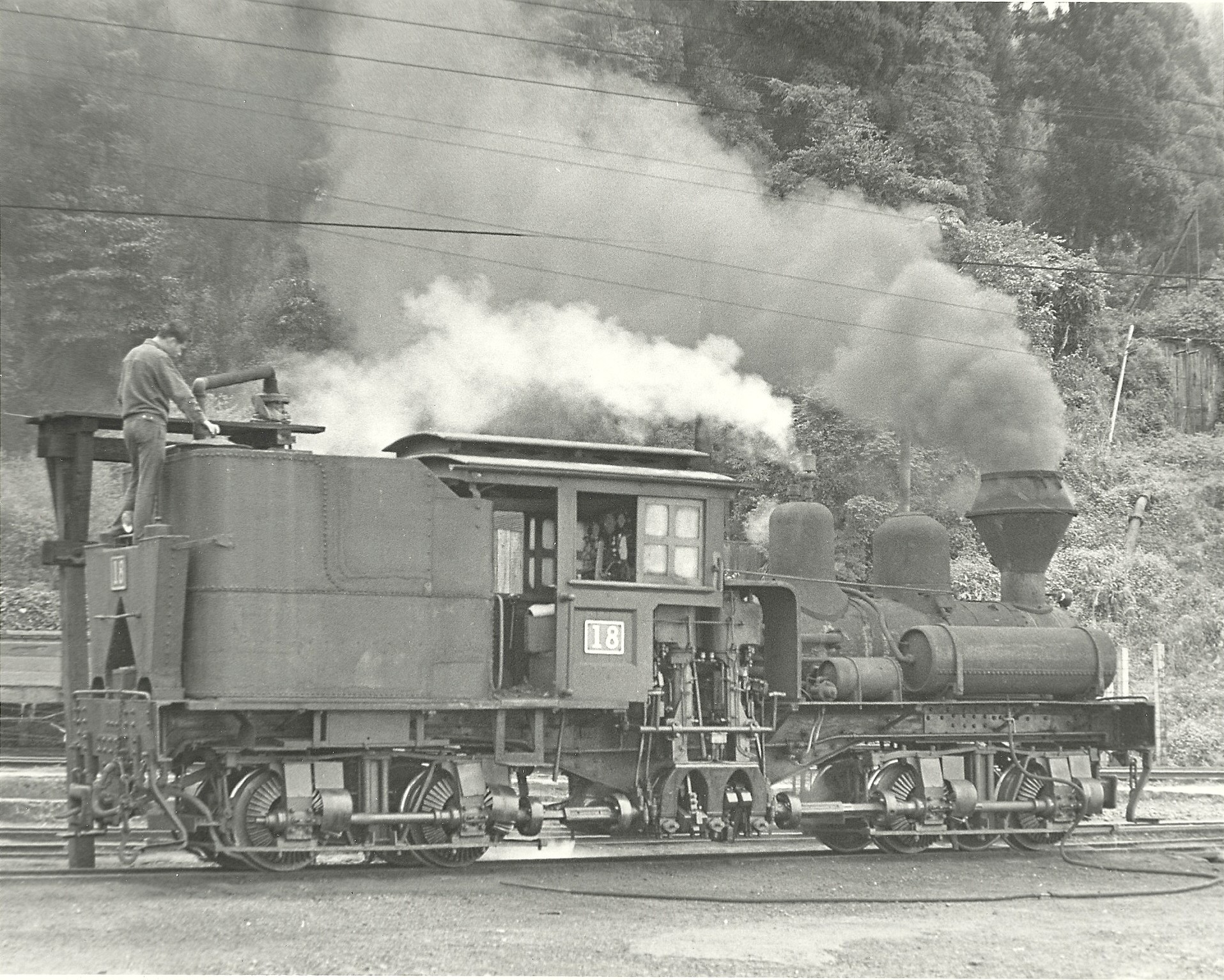 Re: The Alishan narrow gauge - Amazing spirals and shay locomotives