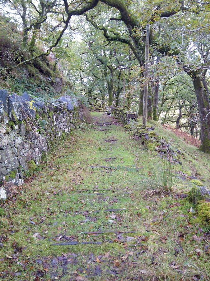 a Ruthven and Wales Pictures 2011 102.jpg