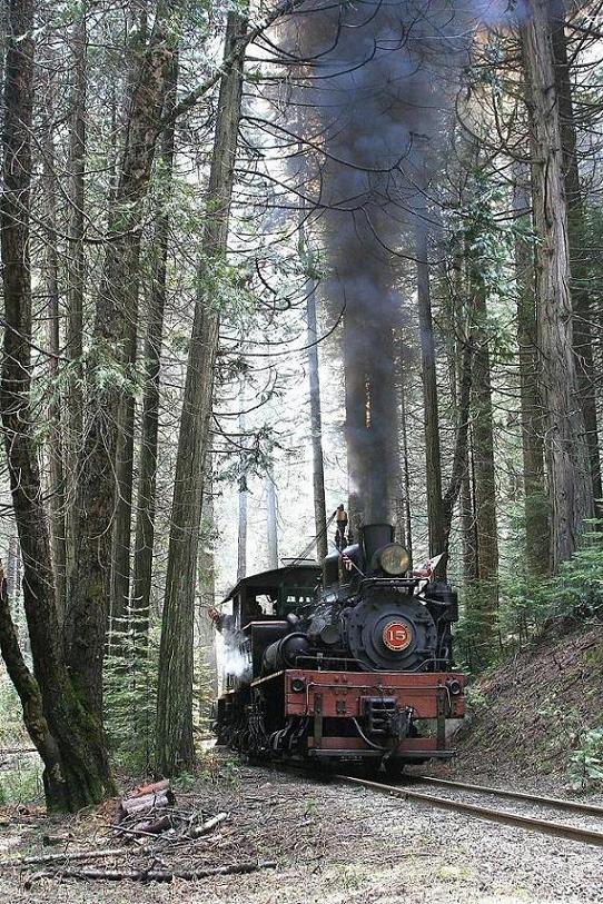 Re: Yosemite Mountain Sugar Pine Railroad